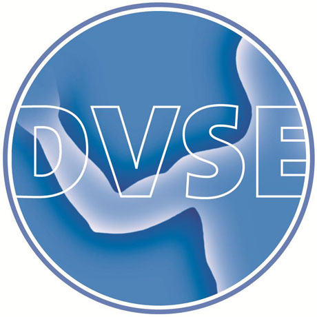 DVSE logo